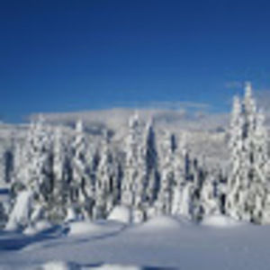 Meet your Posher, Paul